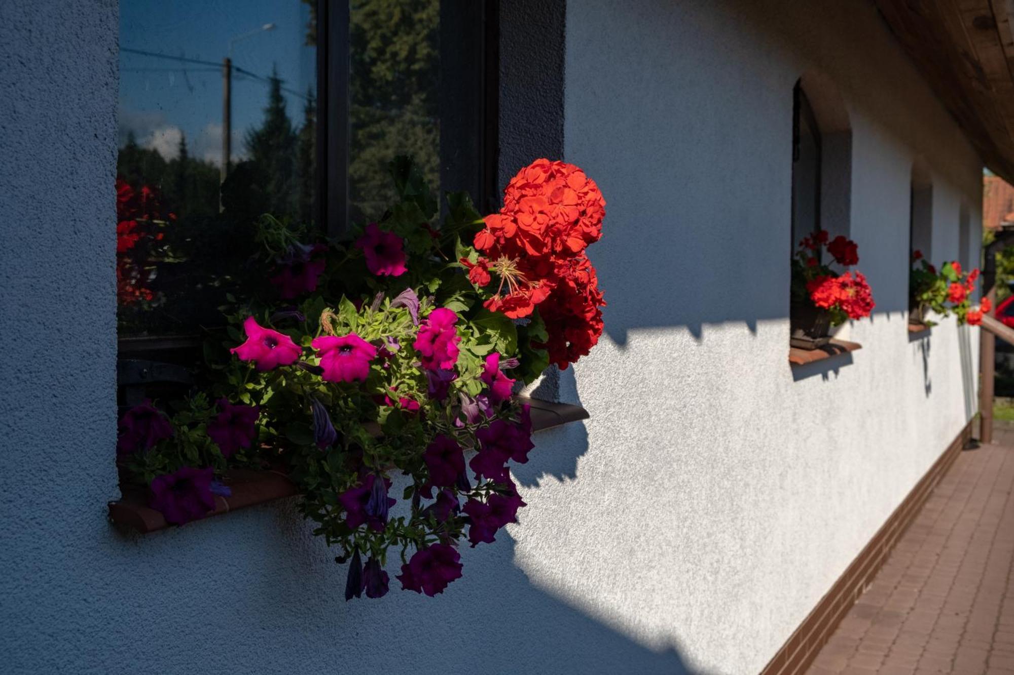 Siedlisko Leszczewek 빌라 외부 사진